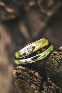 Rings lie on the tree